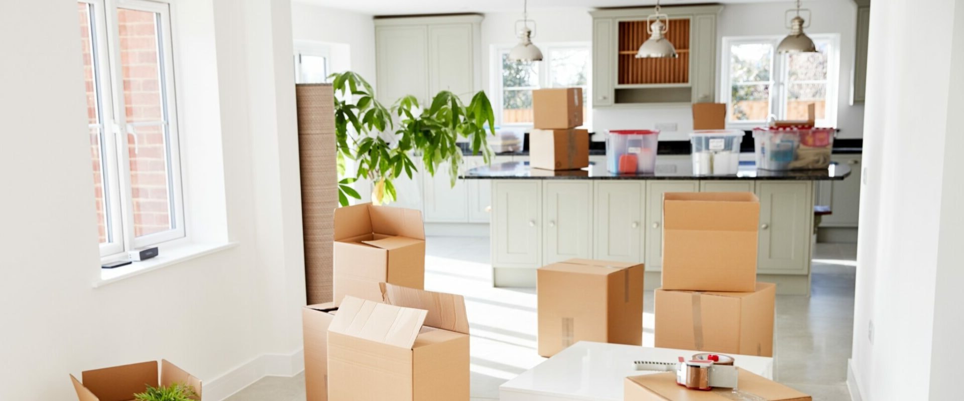 A Complete Guide to What Moving and Storage Services Offer Homeowners