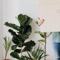 Smooth Moves: Finding Reliable Local Movers In Northern VA For Stress-free Moving And Storage Service